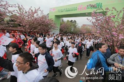 文旅融合新篇章 十二金釵大觀園旅游文化節(jié)啟幕，千名跑友共助南川'雙曬'與文藝創(chuàng)作開發(fā)